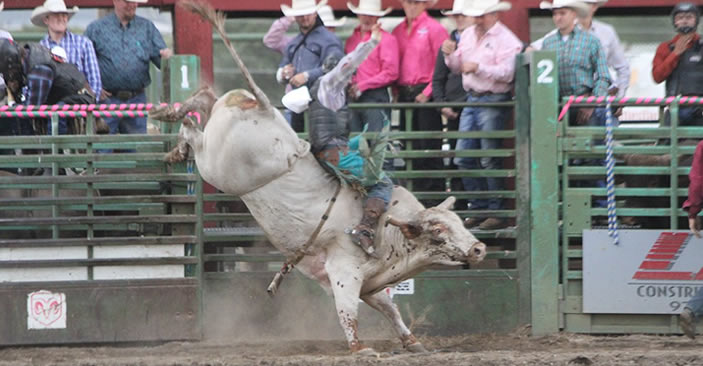 2018 TETWP bull rider