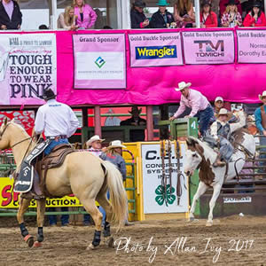 Cattlemen's Days TETWP Rodeo