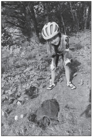 Photo of Abby looking at a turtle by the road.