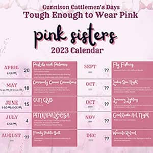 Pink Sisters 2023 Highlight