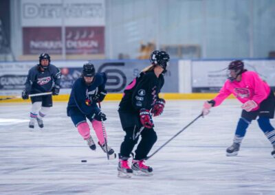 2024 Pink in the Rink