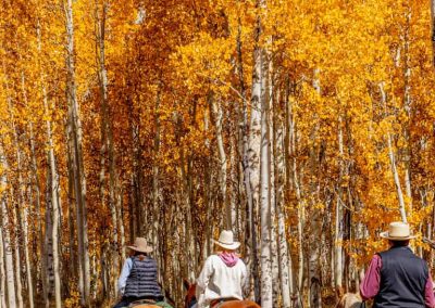 Golden aspens with riders.